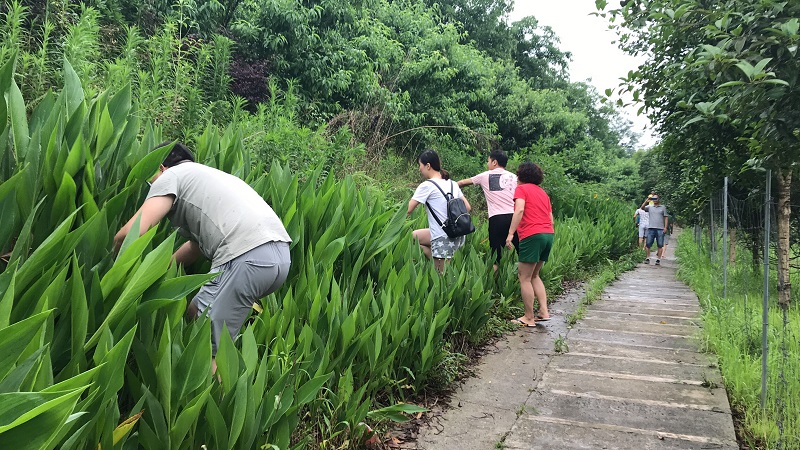 Первое новое сообщение о работе группы сотрудников