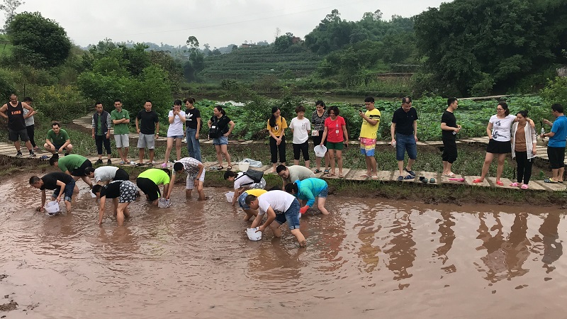 Первое новое сообщение о работе группы сотрудников