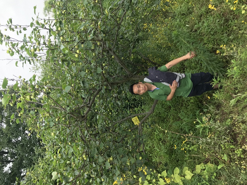 Первое новое сообщение о работе группы сотрудников