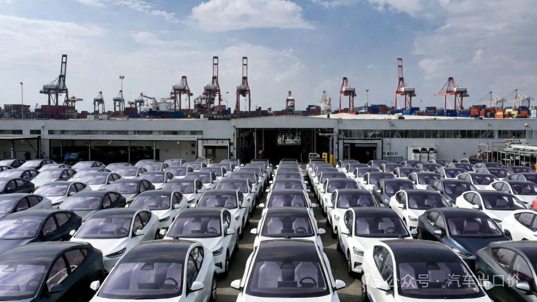 Нулевые пошлины + 50 тысяч квот!Китайские машины пробились в ворота Южной Америки, Аргентина стала ключом к разрыву