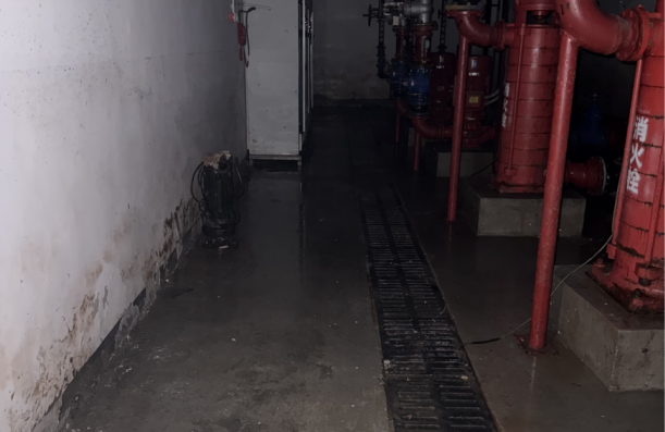 Операции по очистке от淤ков под эгидой партии - безжалостные наводнения, любовь к окружению