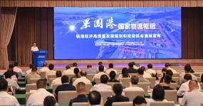 Сосредоточение внимания на двух сессиях: исследование в Чонгцине: от «логистического узла» к «экономическому двигателю», построение новой модели экономического узла