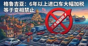 Грузия подняла налоги на импорт автомобилей за шесть лет, что, по словам представителей отрасли, равносильно замаскированному запрету