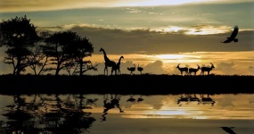 «Нихо», 34-е Рамочное соглашение!