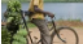 Недооцененный рынок Украины.Следующий подержанный автомобиль Мали экспортирует на рынок голубого океана